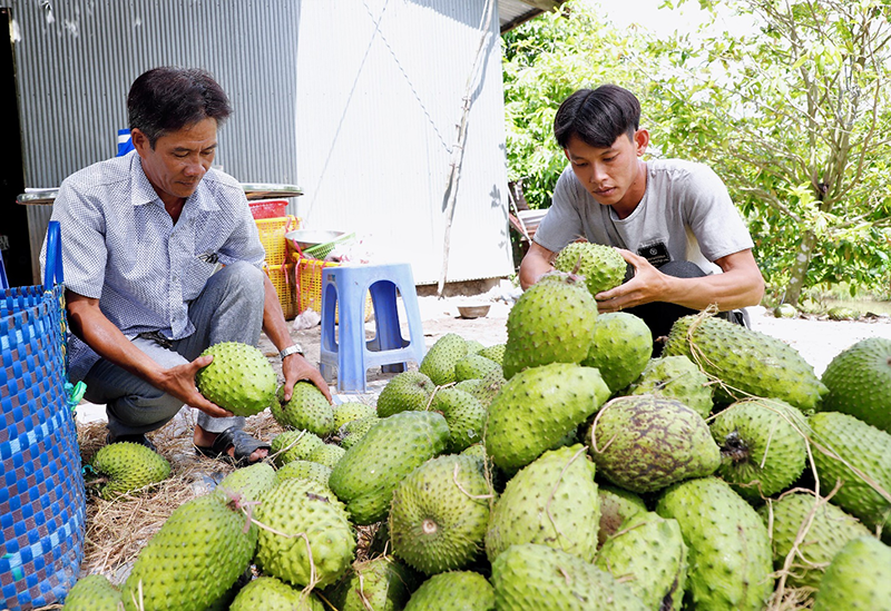 Hỗ trợ nông dân phát triển sản xuất 