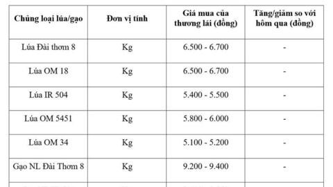 Giá lúa gạo hôm nay ngày 25/5/2026: Gạo xuất khẩu đảo chiều giảm nhẹ