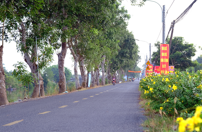 Nông thôn Cần Thơ: Từ nếp sống đến sản xuất xanh 