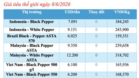 Giá tiêu hôm nay 8/6/2026: Cao nhất 140.000 đồng/kg