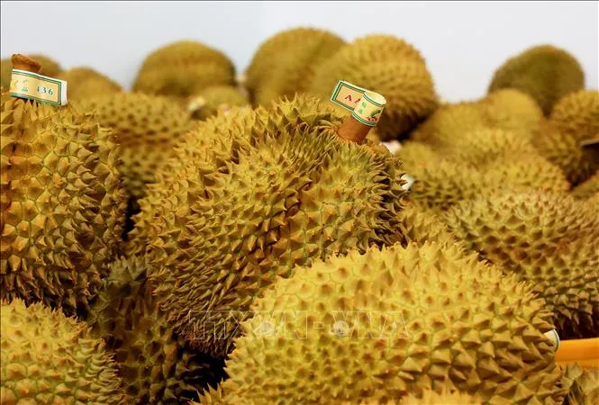 26/34 tỉnh thành triển khai Hệ thống truy xuất nguồn gốc nông sản 