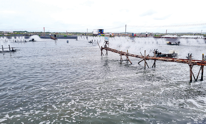 Hướng đến mục tiêu phát triển thủy sản xanh, phát thải thấp 