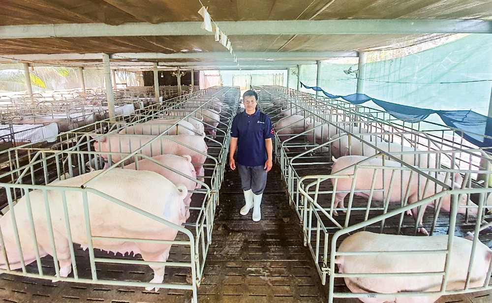 Phát triển chăn nuôi gia súc, gia cầm theo mô hình tập trung, an toàn sinh học, ứng dụng công nghệ cao 