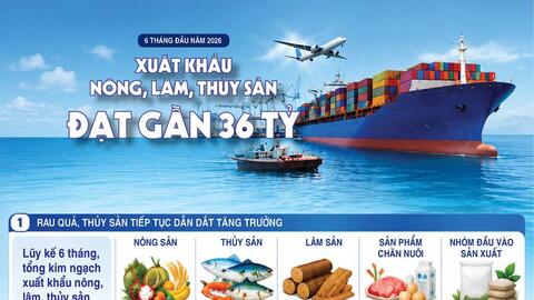 Infographic | Xuất khẩu nông, lâm, thủy sản đạt gần 36 tỷ USD