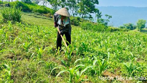 Ban hành Chương trình công tác năm 2026 về các chương trình mục tiêu quốc gia