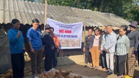 Khai thác hiệu quả lợi thế vật nuôi, góp sức giảm nghèo bền vững ở miền Tây Nghệ An