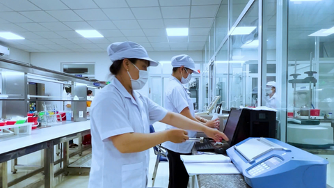 Gia Lai: Chế biến, chế tạo tiếp tục dẫn dắt tăng trưởng công nghiệp