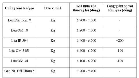 Giá lúa gạo hôm nay ngày 20/8/2026: Lúa tươi biến động trái chiều
