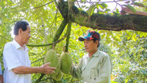 TP Cần Thơ có 4 nông dân đạt danh hiệu “Nông dân Việt Nam xuất sắc 40 năm đổi mới” 