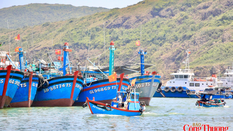 Gia Lai: Quản lý chặt đội tàu, quyết tâm gỡ thẻ vàng IUU