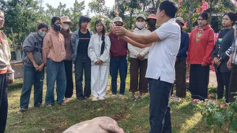 Sau học nghề, người dân M’Drắk mạnh dạn mở rộng đàn heo