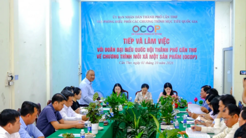 Tháo gỡ khó khăn, thúc đẩy phát triển sản phẩm OCOP 