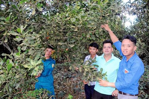 Lan tỏa Mô hình ''Dân vận khéo'' ở Tân Thanh