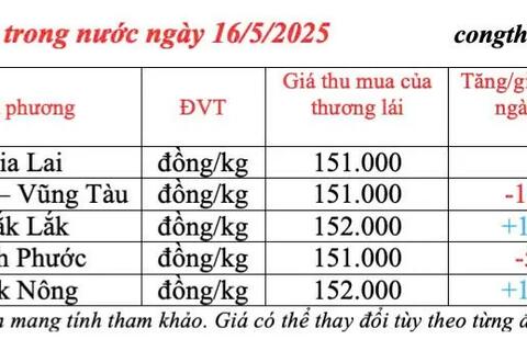 Giá tiêu hôm nay 16/5/2025, trong nước tăng giảm đan xen