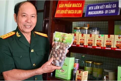 Lan toả thương hiệu mắc ca Di Linh