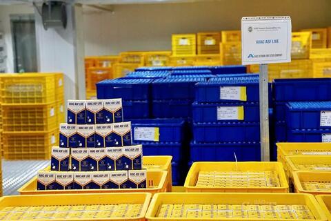 Indonesia sẽ nhập khẩu vaccine dịch tả lợn châu Phi của Việt Nam