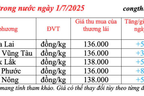 Giá tiêu hôm nay 1/7/2025: trong nước lấy lại đà tăng cao