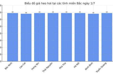Giá heo hơi hôm nay 1/7/2025: Giảm nhẹ tại miền Trung - Tây Nguyên