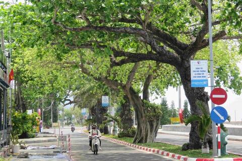 Đặc khu đảo duy nhất của TP. Hồ Chí Minh có gì đặc biệt?