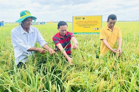 Bình Điền: Hành trình hơn nửa thế kỷ phụng sự nông dân và tầm nhìn xanh hóa - số hóa