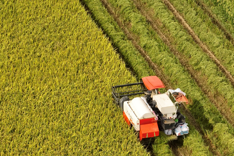 Dấu son 80 năm: Nông sản Việt vươn tầm thế giới trong kỷ nguyên xanh