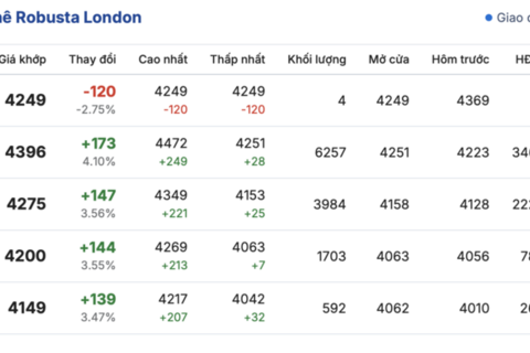 Giá cà phê hôm nay 18/11/2025: Giảm nhẹ ở Lâm Đồng