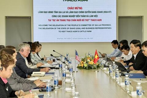 Gia Lai – Idaho (Mỹ) hợp tác phát triển bò thịt công nghệ cao