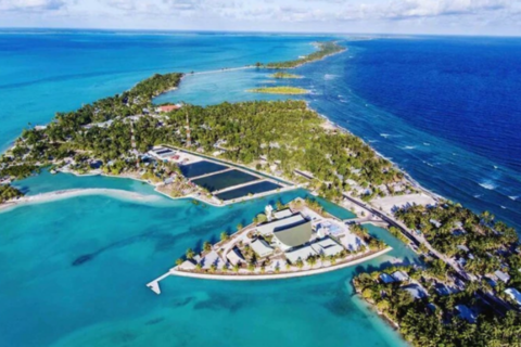 Những quốc gia, vùng lãnh thổ sẽ đón năm mới 2026 sớm nhất