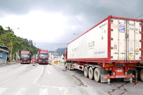 Nhập khẩu tăng mạnh tại các cửa khẩu Lạng Sơn trong ngày 22/1/2026