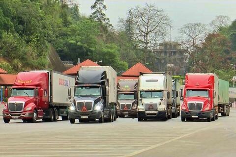 Gỡ vướng kiểm tra thực phẩm, đảm bảo thông quan thông suốt