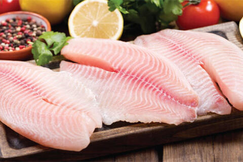 Phi lê cá rô phi: Cơ hội bứt tốc xuất khẩu giữa sức ép cạnh tranh EU