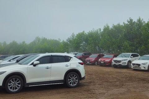 Thanh Hóa: Miễn phí trông giữ xe tại loạt điểm du lịch từ 26/2