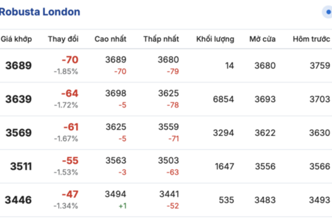 Giá cà phê hôm nay 27/2/2026: Tăng thêm 1.000 đồng/kg
