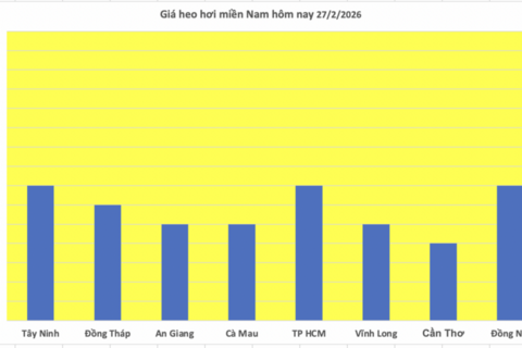 Giá heo hơi hôm nay 27/2/2026: Giảm rải rác