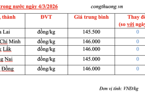 Giá tiêu hôm nay 4/3/2026: Chững lại