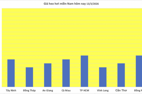 Giá heo hơi hôm nay 13/3/2026: Biến động trái chiều