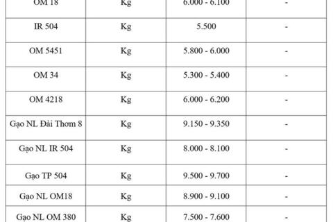 Giá lúa gạo hôm nay ngày 17/3/2026: Gạo xuất khẩu OM 5451 giảm
