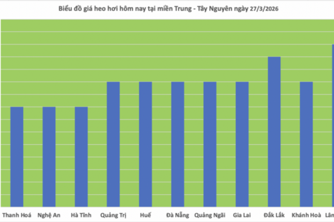 Giá heo hơi hôm nay 27/3/2026: Giảm tại miền Bắc