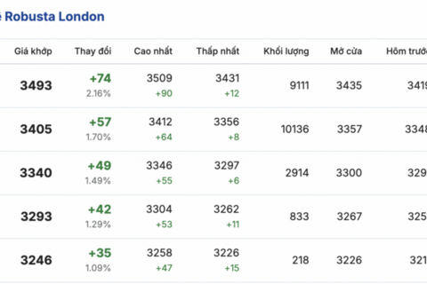 Giá cà phê hôm nay 01/4/2026: Bất ngờ lao dốc, giảm đến 4.800 đồng/kg