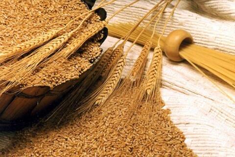 Giá lúa mì giảm hơn 3% do áp lực chốt lời và thời tiết được cải thiện