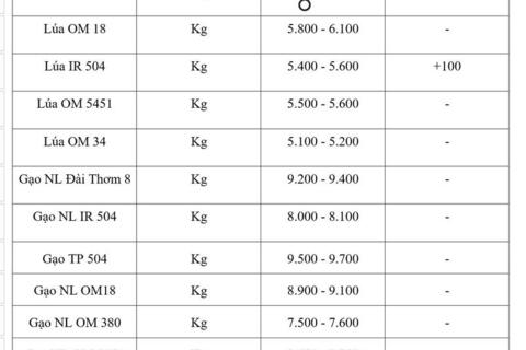 Giá lúa gạo hôm nay ngày 9/4: Lúa tươi tiếp đà tăng nhẹ