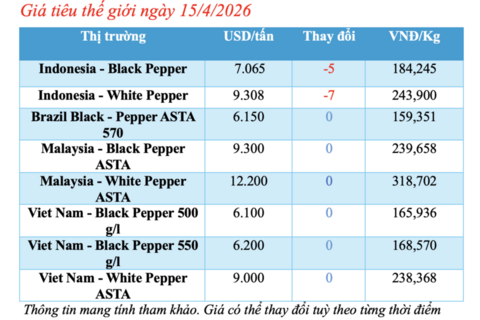Giá tiêu hôm nay 15/4/2026: Tăng nhẹ cục bộ