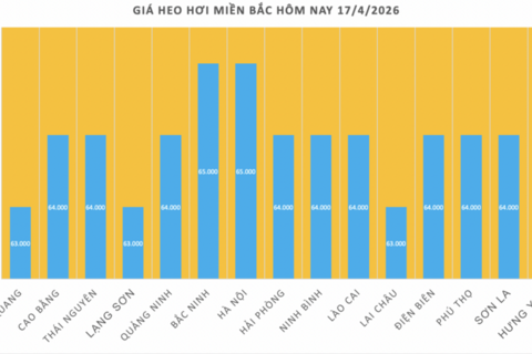 Giá heo hơi hôm nay 17/4/2026: Đi ngang trên cả nước