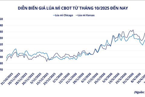 Giá lúa mì tăng vọt trong bối cảnh rủi ro nguồn cung gia tăng