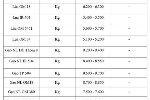 Giá lúa gạo hôm nay ngày 15/5/2026: Gạo thường giảm 1.000 đồng/kg
