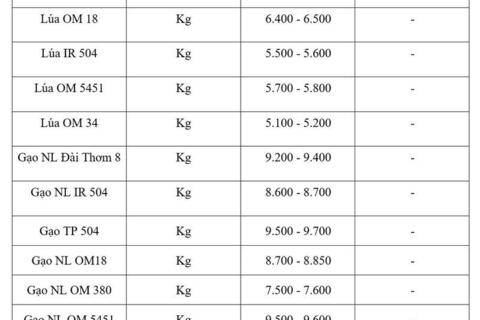 Giá lúa gạo hôm nay ngày 1/6/2026: Lúa tươi vững giá