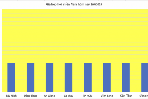 Giá heo hơi hôm nay 2/6/2026: Giảm rải rác tại miền Nam
