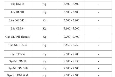 Giá lúa gạo hôm nay ngày 3/6/2026: Gạo xuất khẩu biến động