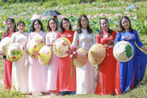 Đà Nẵng: Khai thác đa giá trị từ cây sen