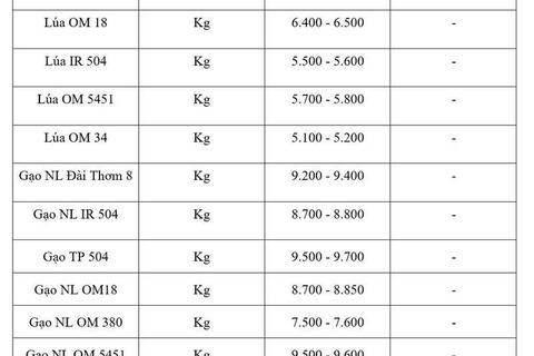 Giá lúa gạo hôm nay ngày 16/6/2026: Gạo xuất khẩu đảo chiều tăng
